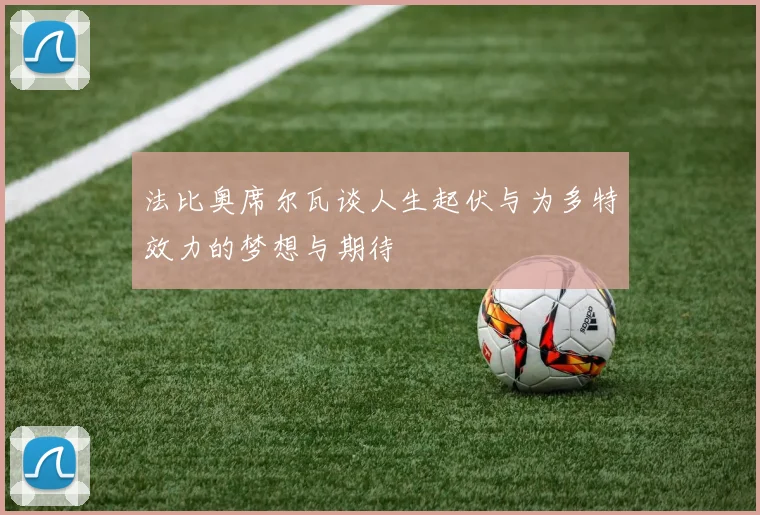 法比奥席尔瓦谈人生起伏与为多特效力的梦想与期待