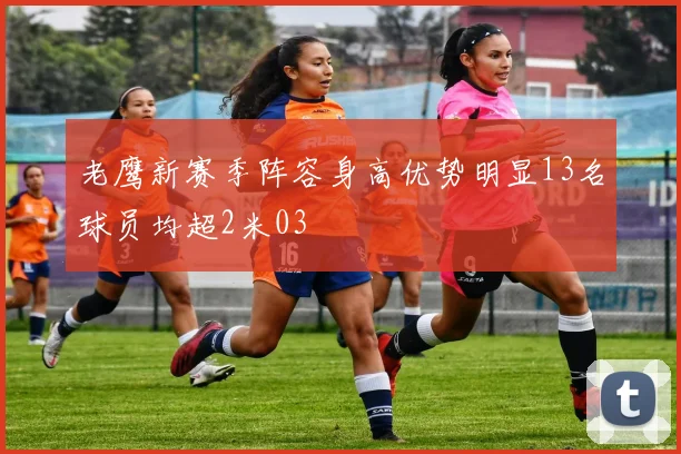 老鹰新赛季阵容身高优势明显13名球员均超2米03
