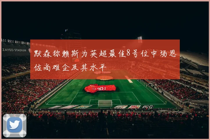 默森称赖斯为英超最佳8号位中场恩佐尚难企及其水平