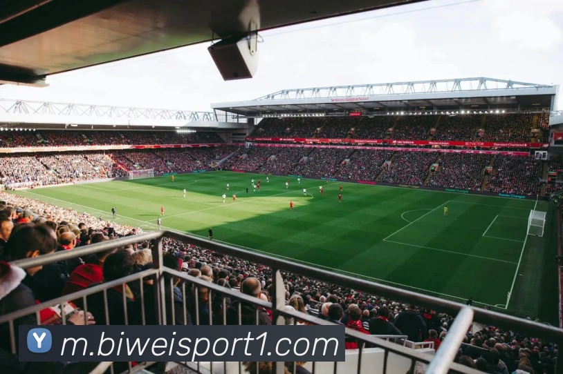 必威足球平台生态图