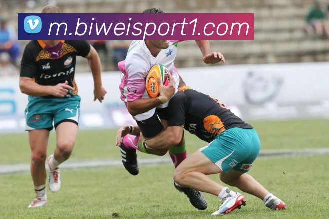 必威足球APP 封面图